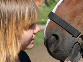 ot, codzienność przy koniach!:))