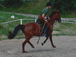 ot, codzienność przy koniach!:))