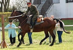 Andrzej Ciesielski i Honor w konkursie władania szablą