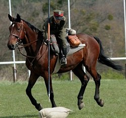 Andrzej Ciesielski i Honor w konkursie władania lancą=