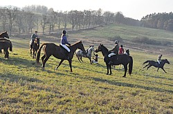 jest walka - są upadki!:)) tradycyjnie - Król Polowania zalicza upadek - Hubertus 2011