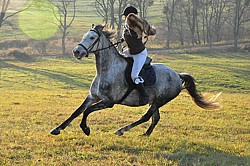 triumfalny galop Królowej Polowania - Iga i Tryptyk - Hubertus 2011