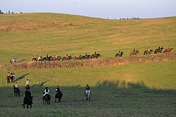 a po rundzie hubertusowej jeźdźcy oddalili się sznurem do stajni - Hubertus 2011