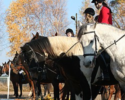 prezentacja ekip - Hubertus 2011