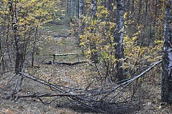 wąwóz hubertusowy - czekamy na jeźdźców - Hubertus 2011