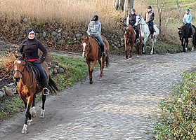 Ten banan na twarzy - to JA!!! MOGĘ JEŹDZIĆ KONNO!!!!