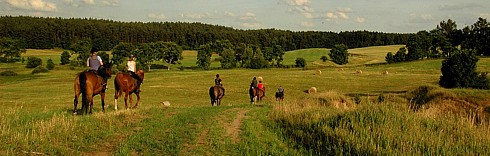 Zapraszamy na obozy jeździeckie i wczasy w siodle!